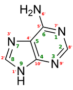 150px adenine structure chimique