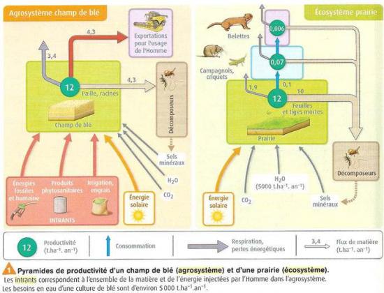 Agroecosysteme2