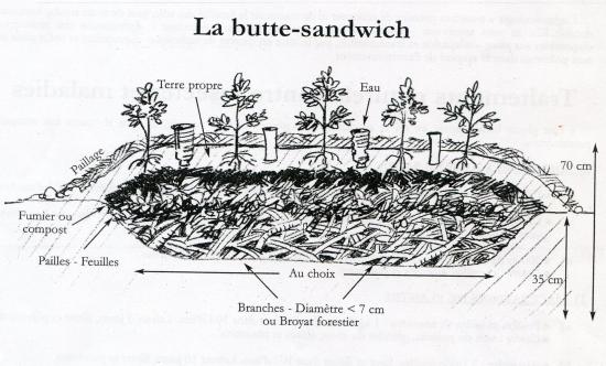 Butte sandwich007 2